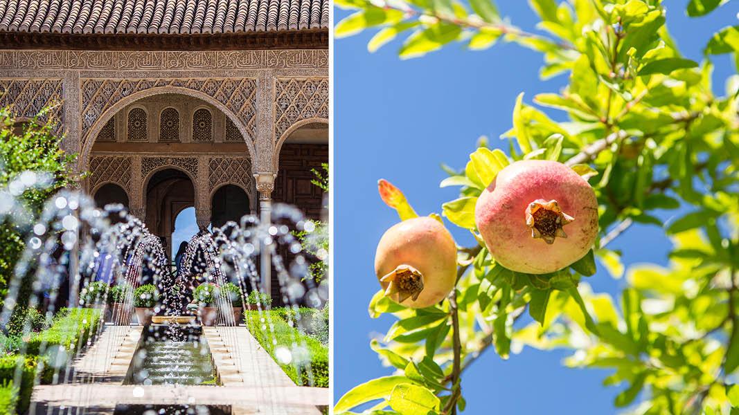 Andalusien Granada Alhambra appelsiner 